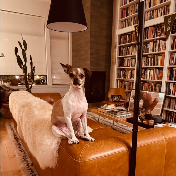 Meet your Posher, Michael - Picture 1 of 1